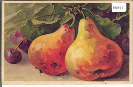 Catherina Klein - Birnen - Litho