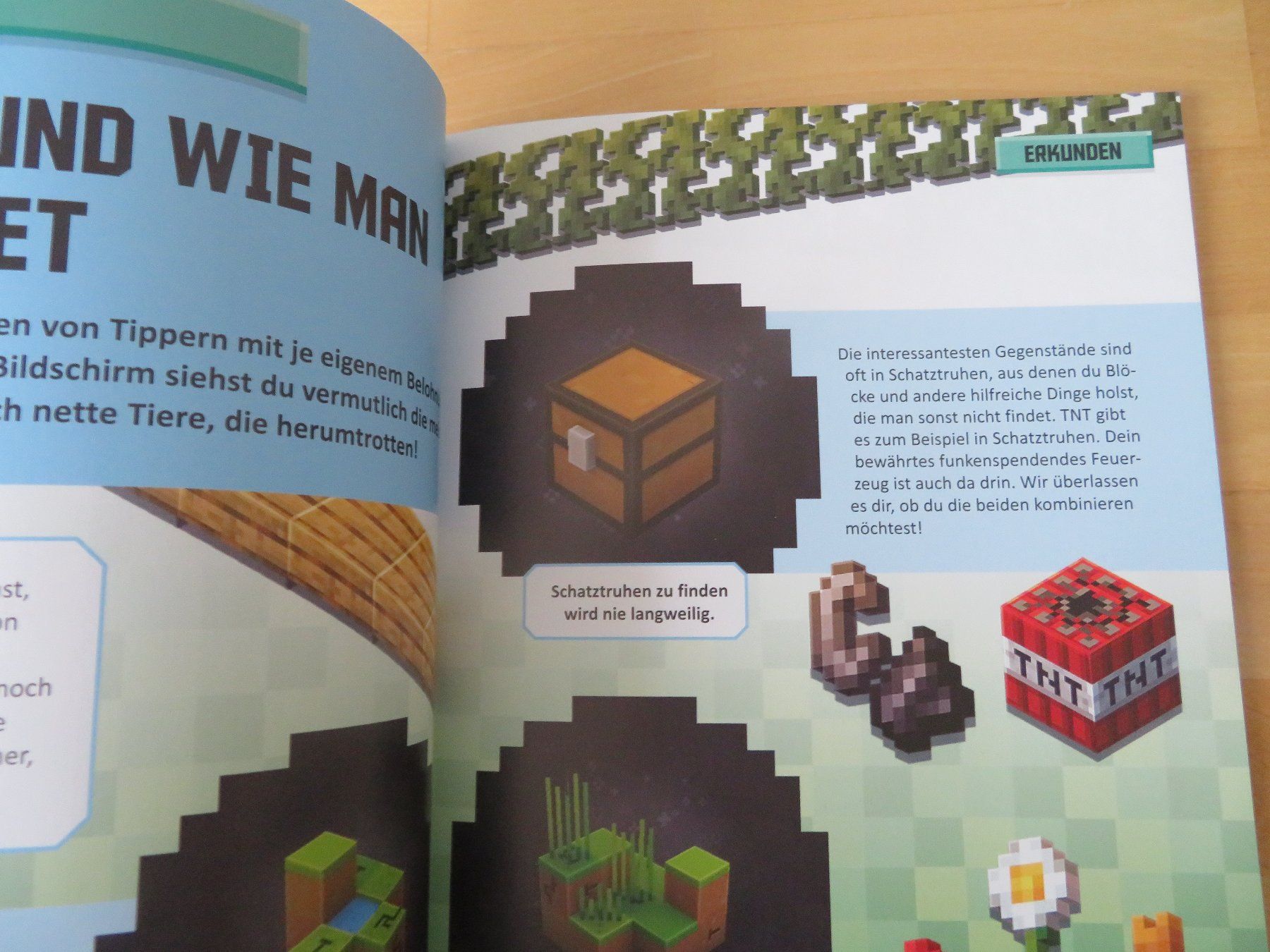Lego Giocattoli: LEGO Minecraft Earth "Das Game Buch" – Nuovo (secondo la descrizione) da Zürich venduto da piroma 1