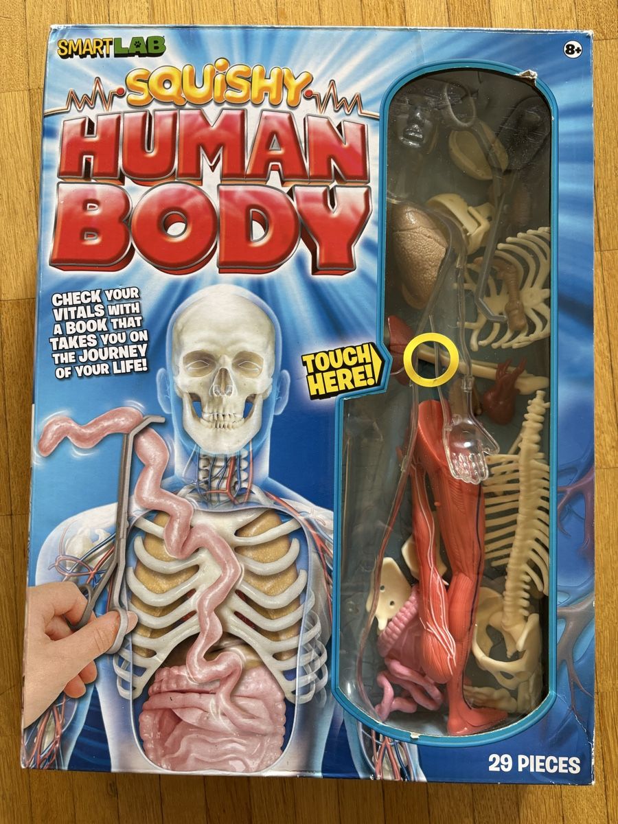 Giochi: SmartLab Squishy Human Body model 29 pieces – Usato da Basel venduto da Ellya