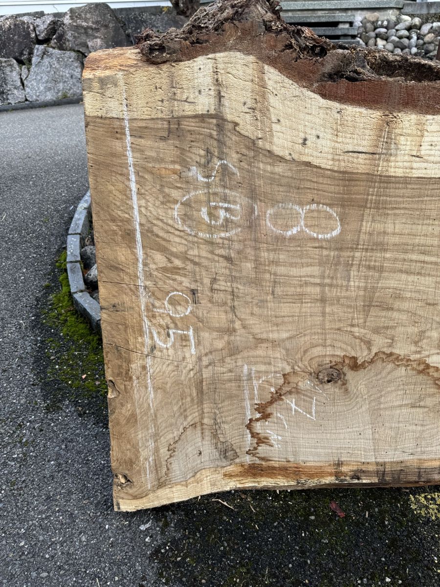 Articoli in legno: XXL - Tischplatte aus einem Stück - massive Baumscheibe – Usato da Gränichen venduto da onkel_xxl 1