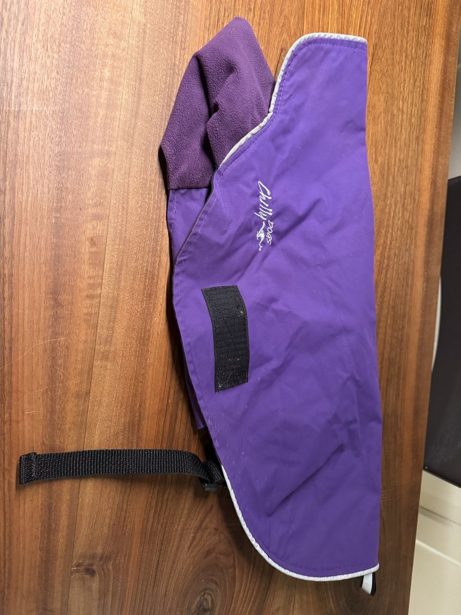 Abbigliamento: Hochwertiger Hundemantel Chilly Dogs – Usato da Regensdorf venduto da Supermonkey89