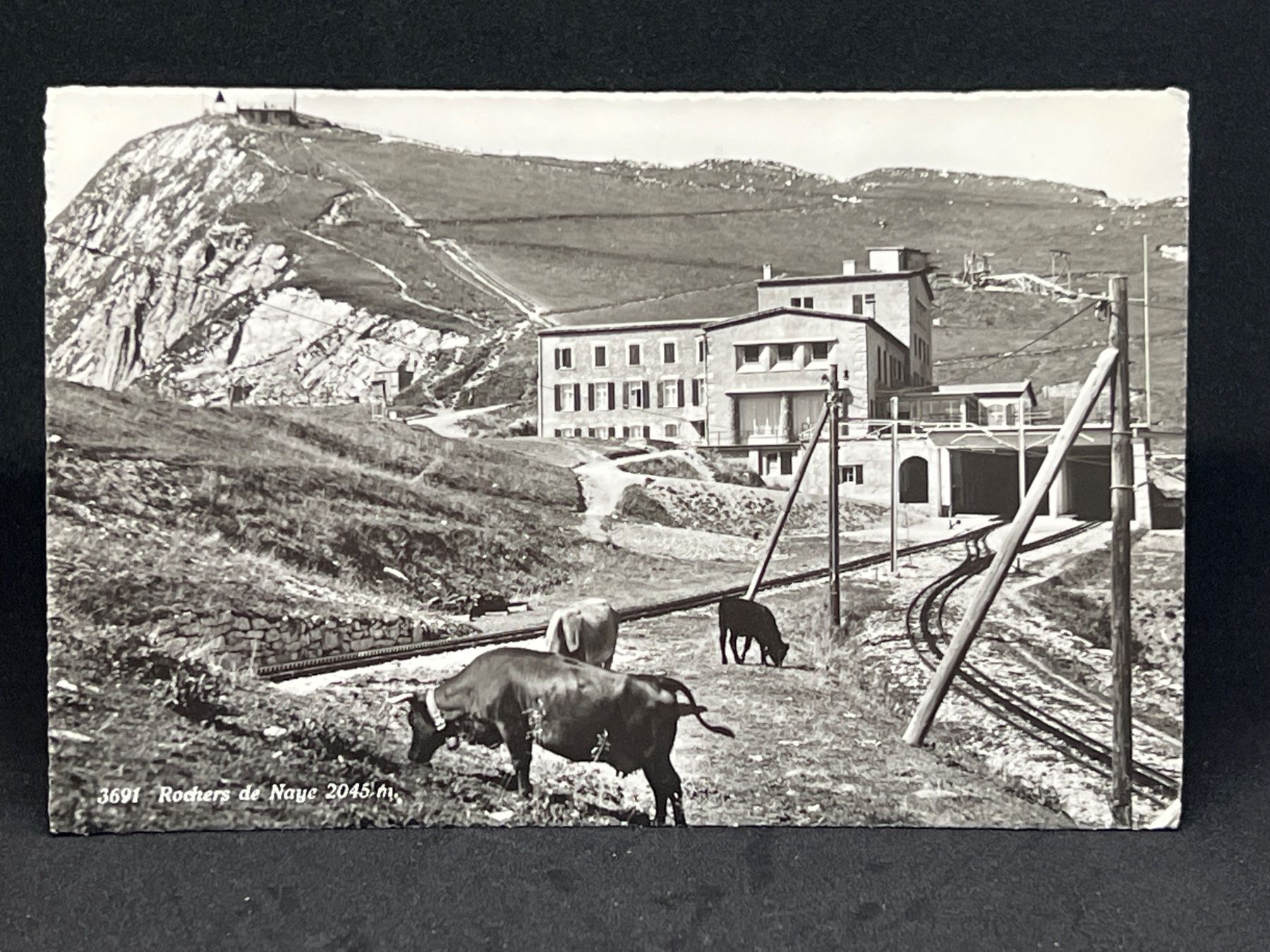 Cartoline postali: Rochers de Naye 2045m – Usato da Widnau venduto da Brusi9