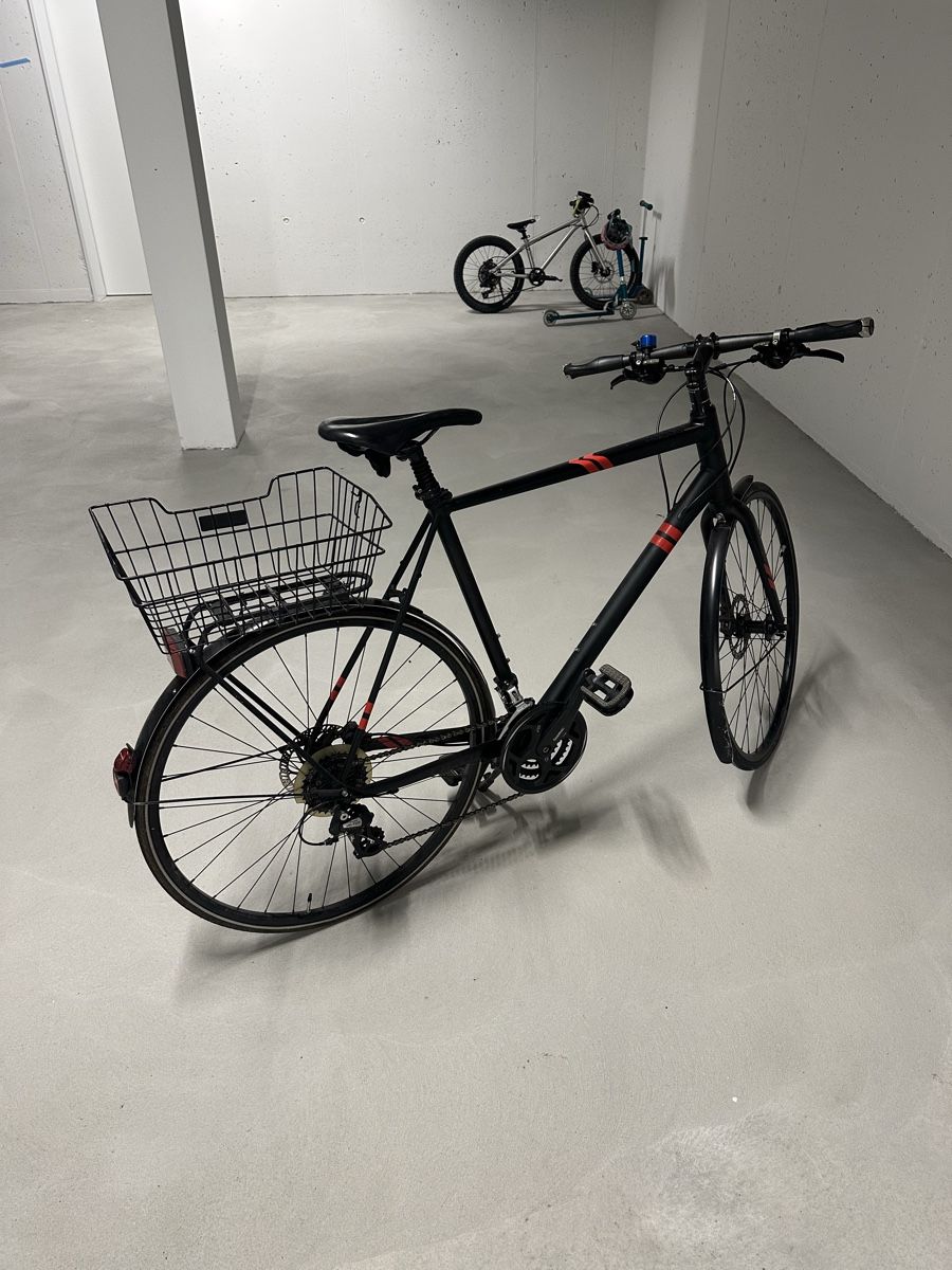 Biciclette: Velo Focus Arriba – Usato da Zürich venduto da max_5y6k 2