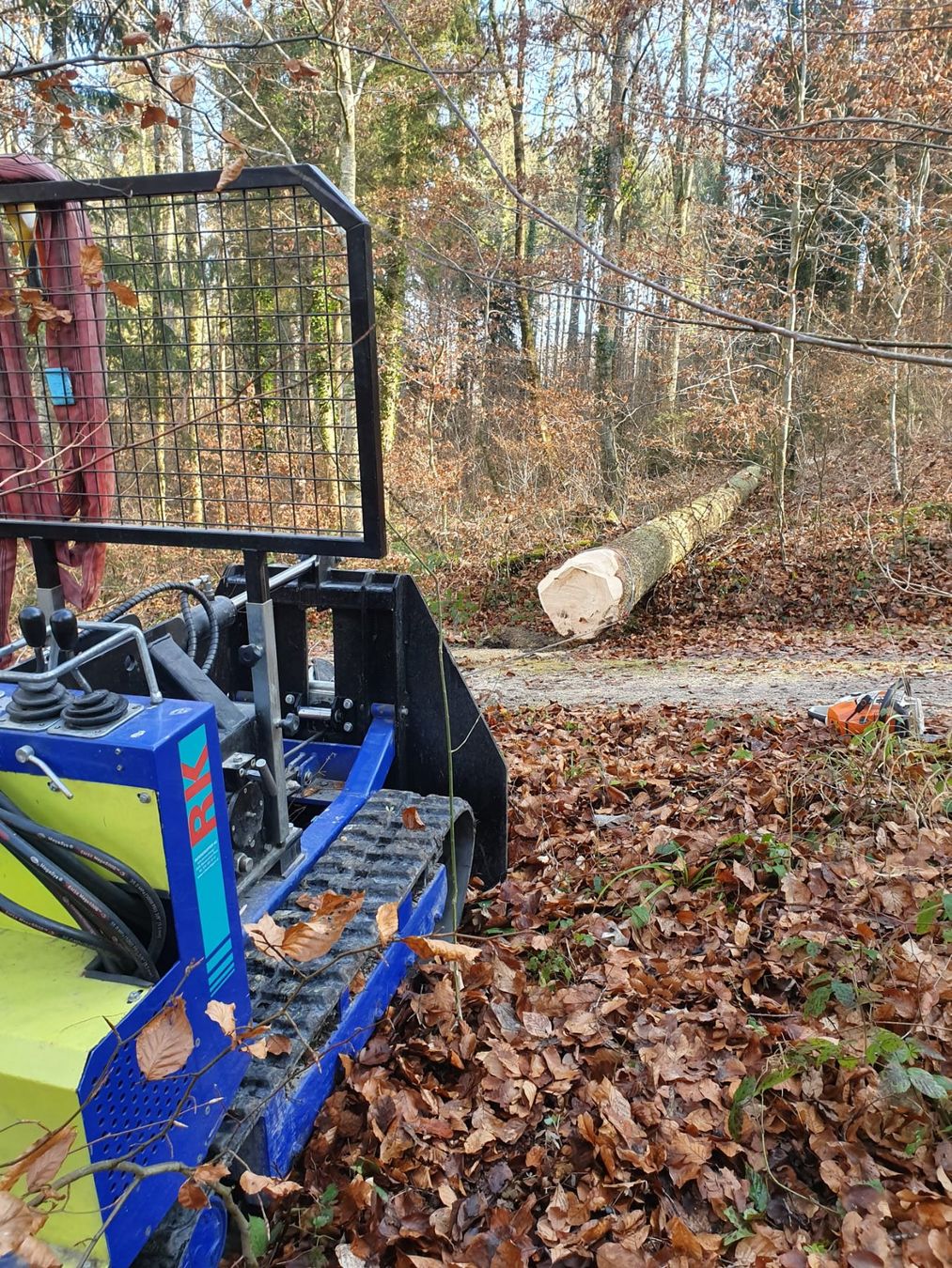 Argani forestali & Pinze posteriori : Raupenwinde Seilwinde – Usato da Brünisried venduto da puerrop 6