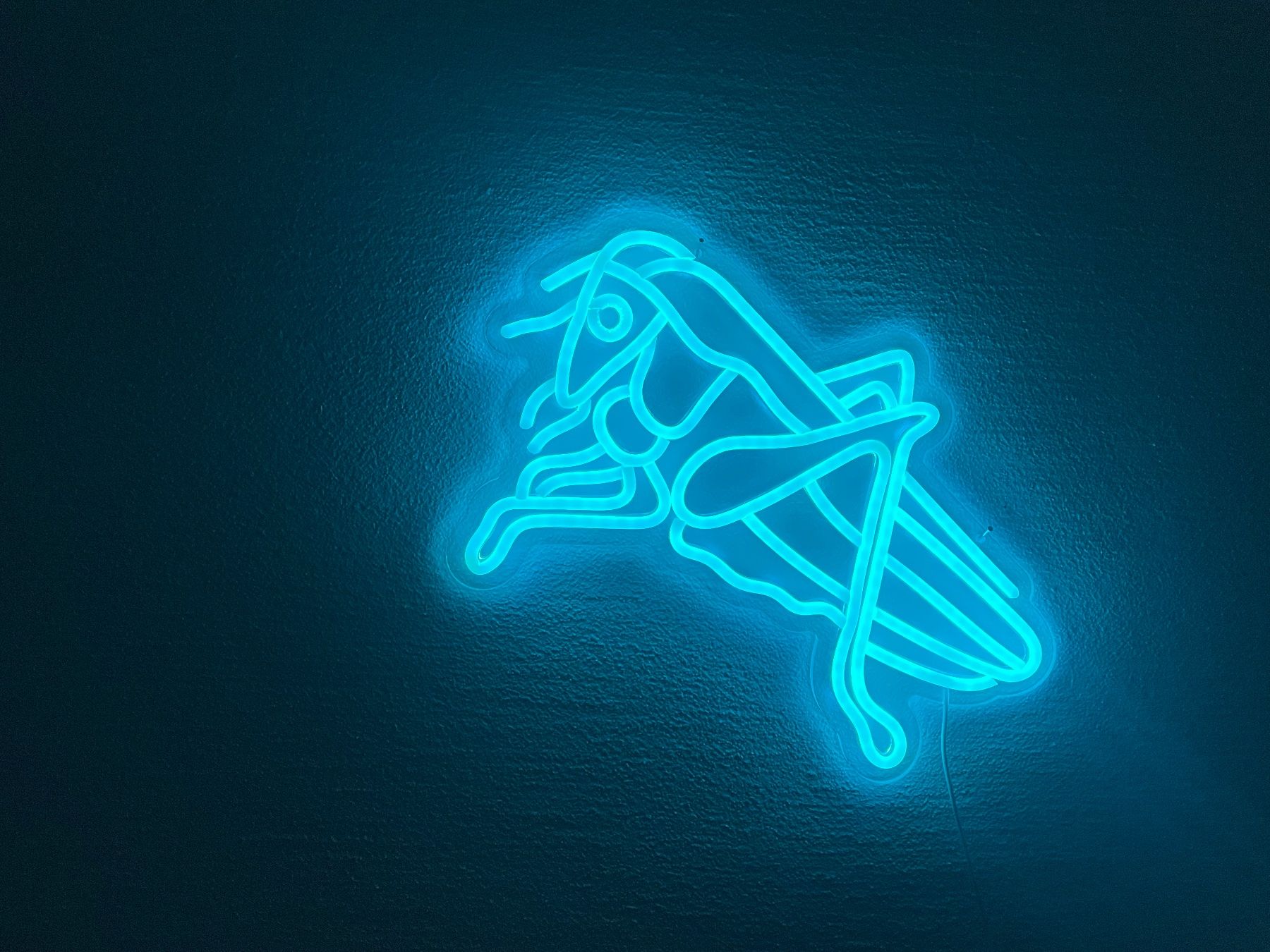 Foto & Immagini: GCZ Neon LED Heugümper – Nuovo e nell'imballaggio originale da Stäfa venduto da hokoatu