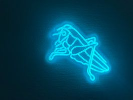 GCZ Neon LED Heugümper