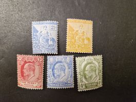 5 seltene Briefmarken Kap der Guten Hoffnung (1 Shilling)
