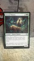 Eternal Witness