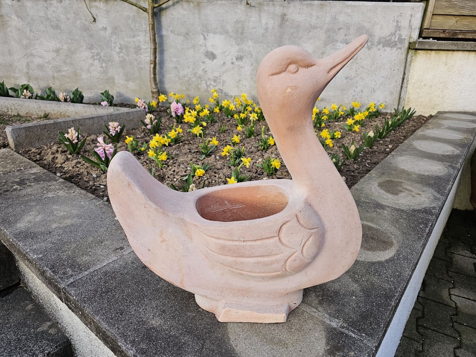 Vasi per fiori: Blumentopf Terracotta Schwan – Usato da Villnachern venduto da hasta08 7