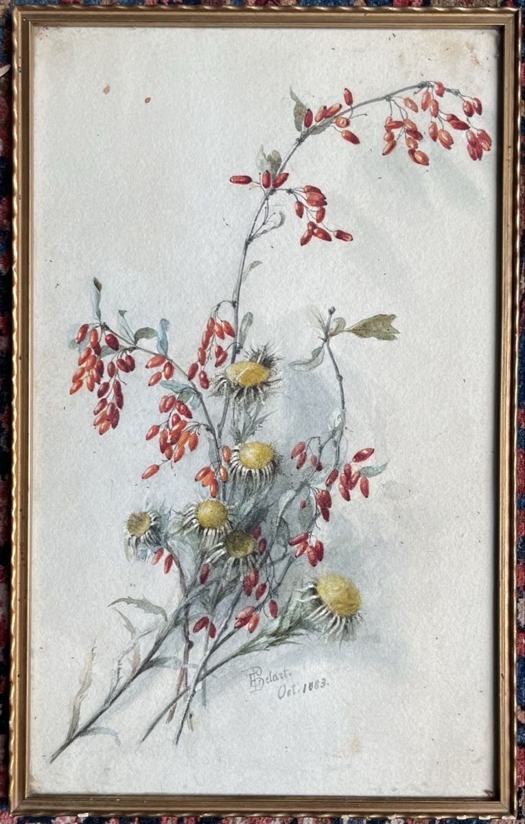 Dipinti: Emmy Belart Aquarell Blumen – Usato da Biel/Bienne venduto da Galaq 1