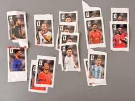 15 Coca-Cola Panini Fussball WM 2026