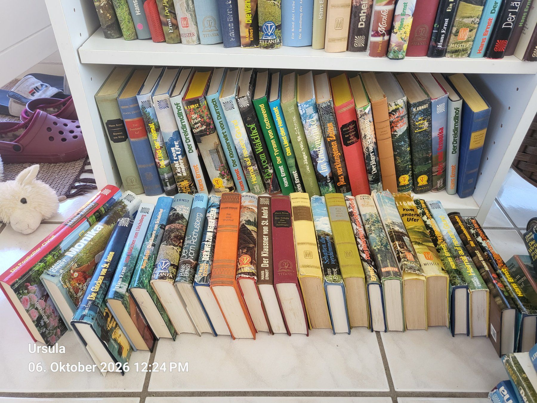 Libri: HANS ERNST BÜCHER CA. 65 BÜCHER – Usato da Rüti ZH venduto da poopey 2