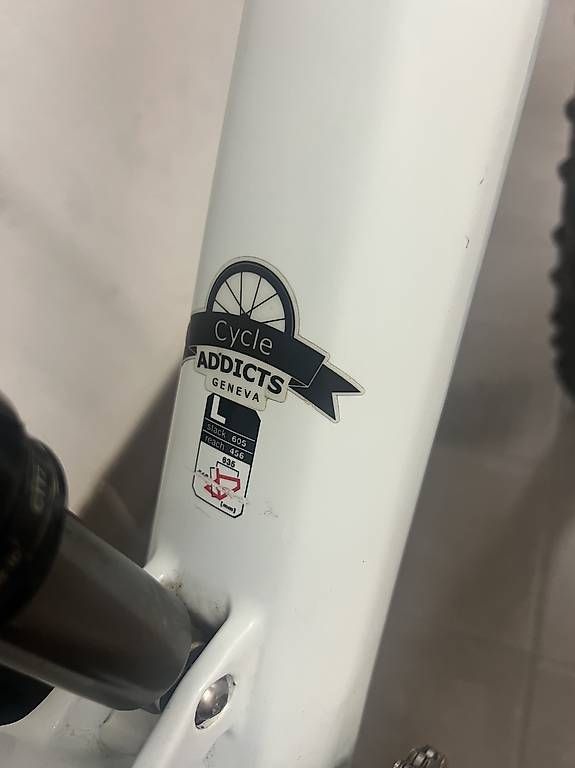 BMC Biciclette: VTT BMC FourStroke02 en Carbone, Taille L – Usato da Versoix venduto da sad_2cl8 5