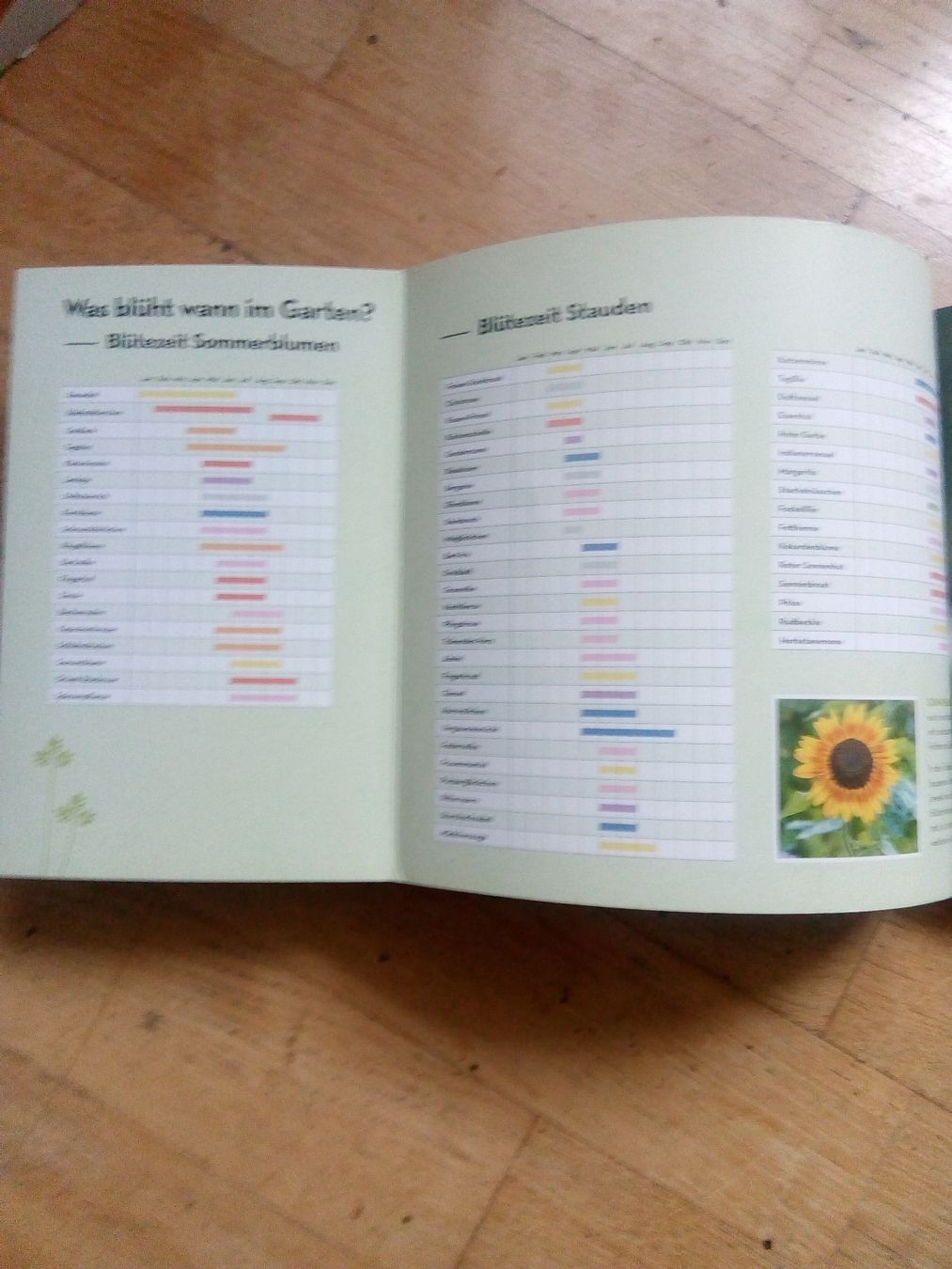 Libri: Wächst das von allein? - oder muss ich jetzt was machen? – Usato da St. Gallen venduto da elk2021 2
