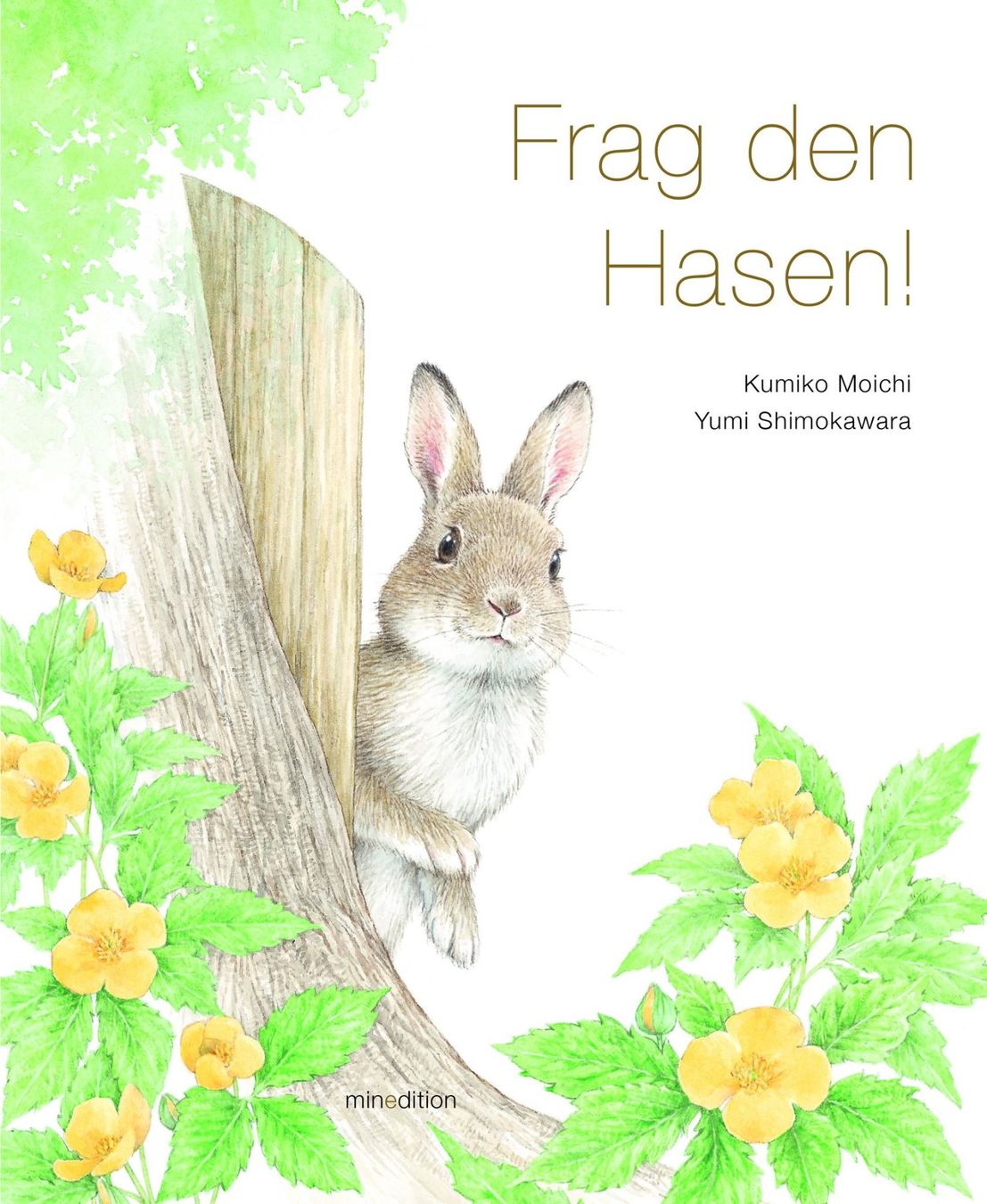 Bücher: Frag den Hasen Bilderbuch NEU – Neu (gemäss Beschreibung) aus Zürich von ale_7k2j