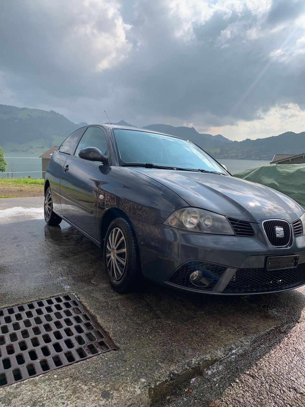 Seat Automobili: Seat Ibiza – Usato da Willerzell venduto da tho_d6hn