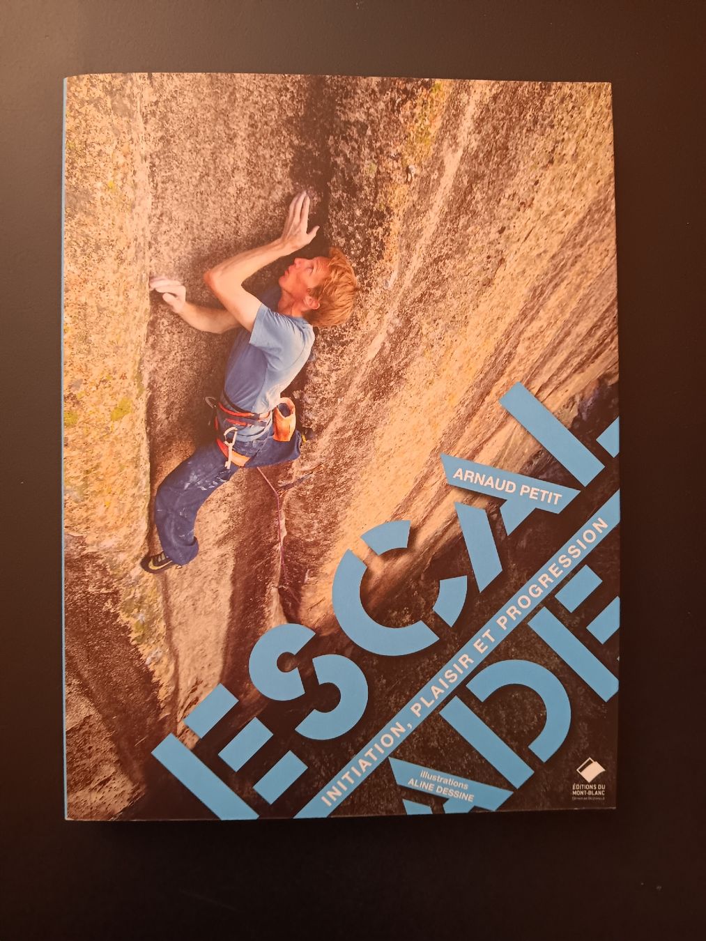 Libri: Escalade initiation, plaisir et progression Arnaud Petit – Nuovo (secondo la descrizione) da Lausanne venduto da Grabock