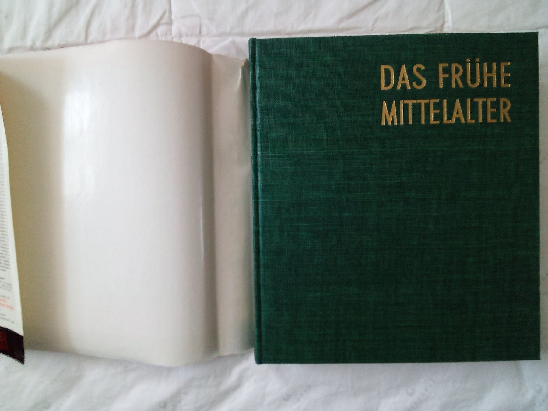 Libri: ,Das frühe Mittelalter – Usato da Zürich venduto da Tolima194 1
