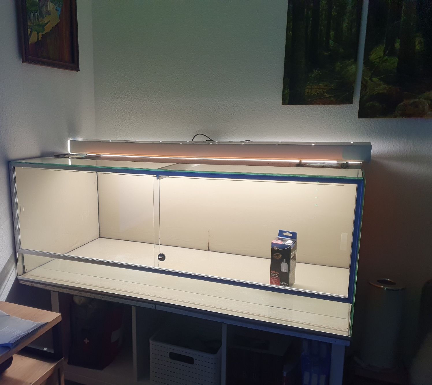 Terrario: Terrarium – Usato da Belp venduto da Liacheyenne 3