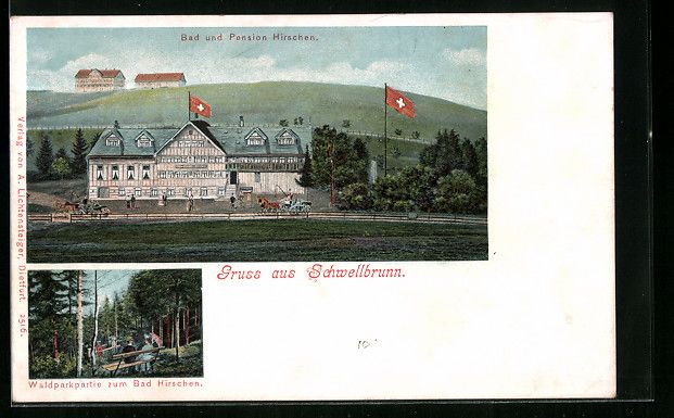 Cartes postales: Litho Schwellbrunn, Waldparkpartie mit B – D'occasion à Berlin par bartko-reher