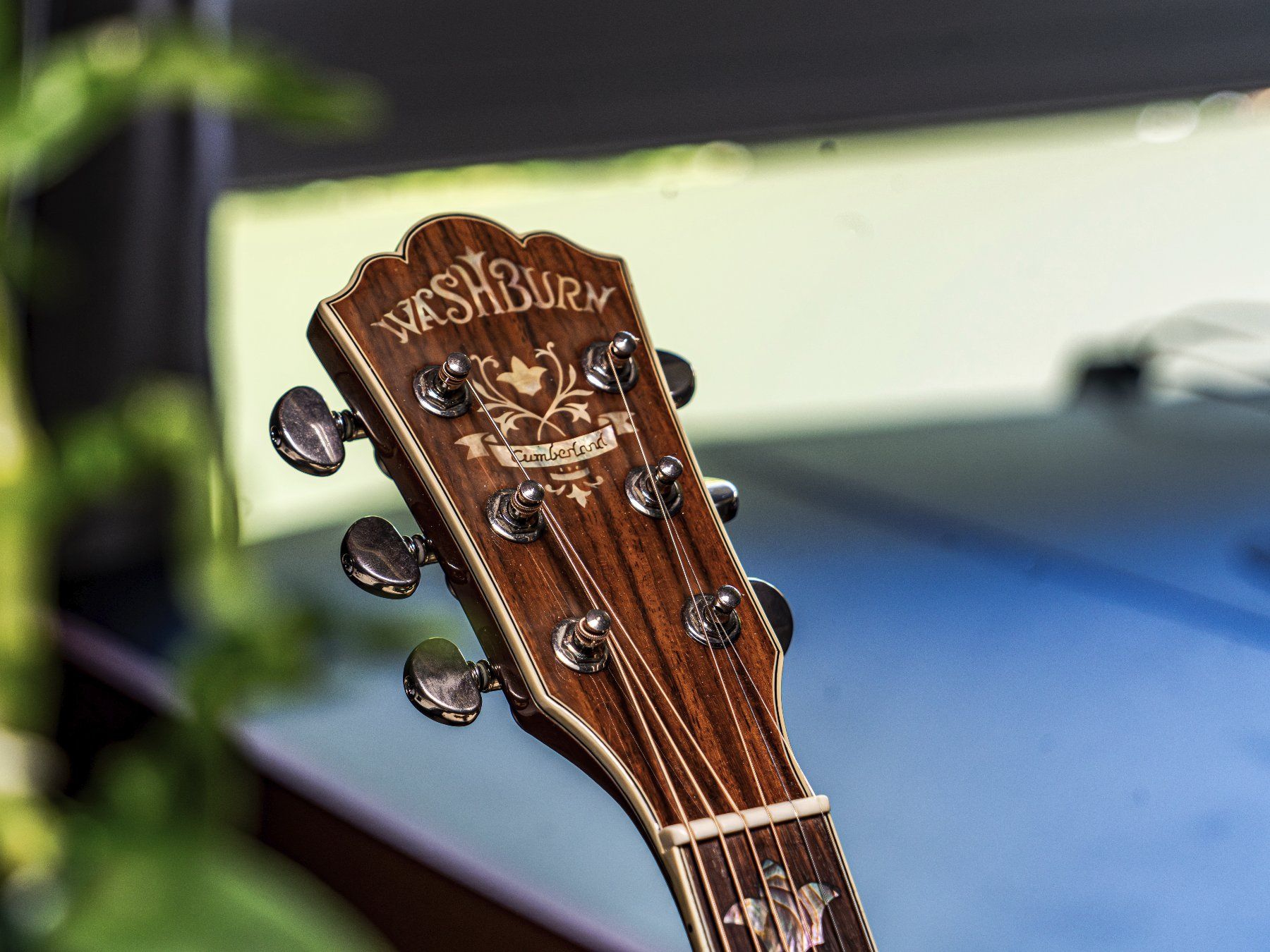 Washburn Strumenti musicali: Washburn Akustikgitarre – Usato da Unterseen venduto da powerpan 3