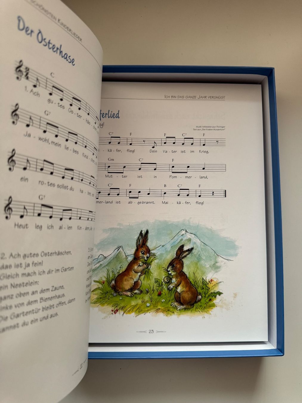 Libri: Die schönsten Kinderlieder – Usato da Grosswangen venduto da Second_hand_paradise 6