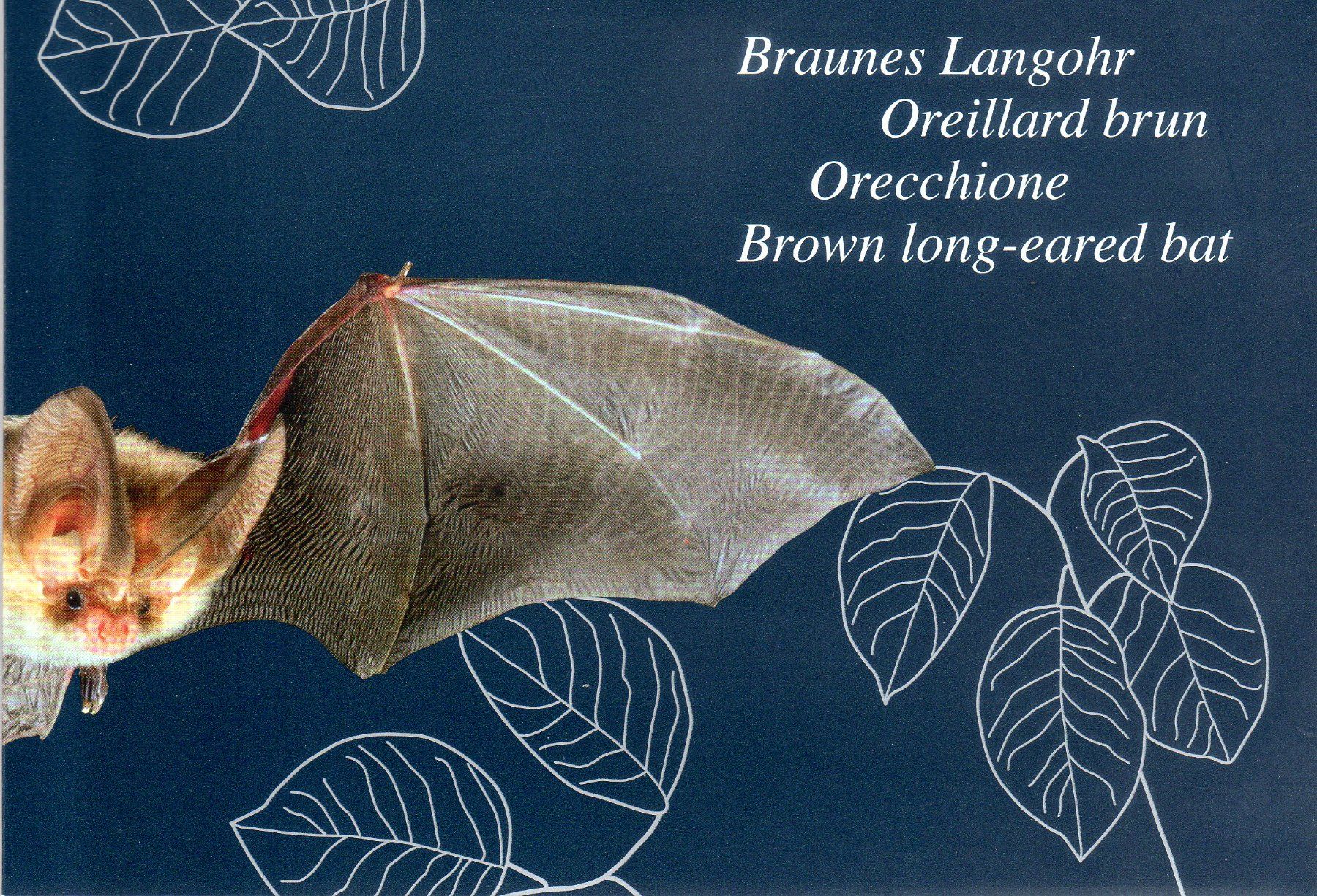 Tutti i francobolli: BRAUNES LANGOHR FOLDER MIT SONDERSTEMPEL 2012 - BR55 – Usato da Losone venduto da EM2019 1