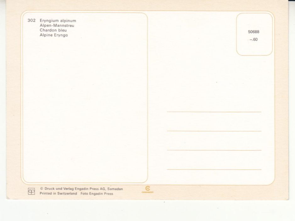 Cartoline postali: Mannstreu, Engadin Press Samedan, ca. 1980 – Usato da Bürglen TG venduto da StampGraf 1