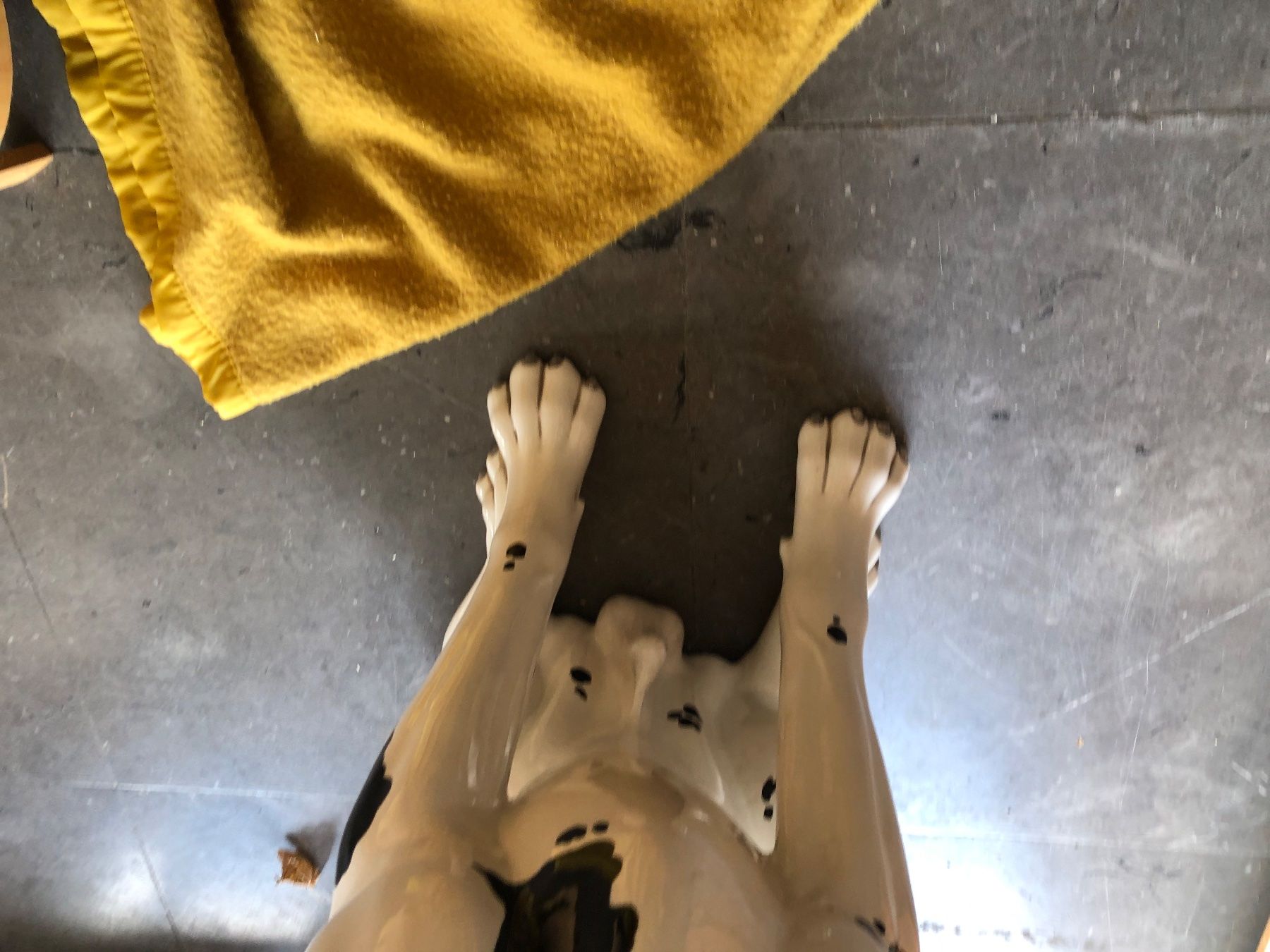 Statuette: Keramikhund Gross – Usato da Rothrist venduto da bambus18 9