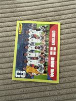Panini Sammelbild Fussball. England ENG13