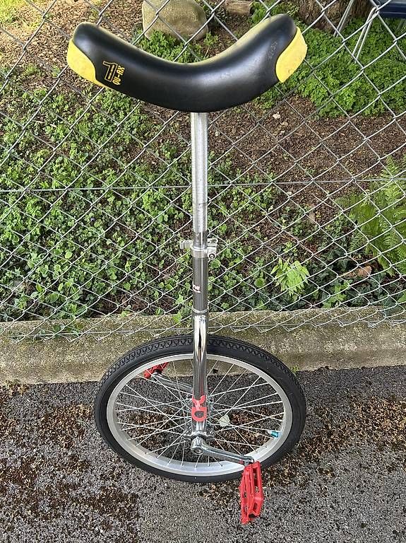 Biciclette: Monocycle – Usato da boudry venduto da jul_sv92