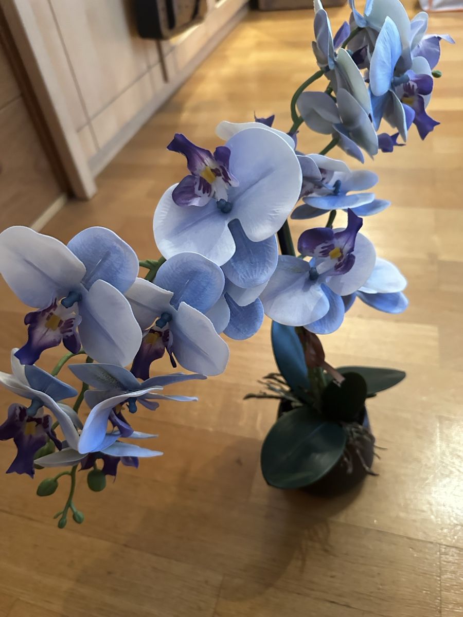 Toutes les décorations: Orchideen Blue 40cm  – D'occasion à Bern par womiman 2