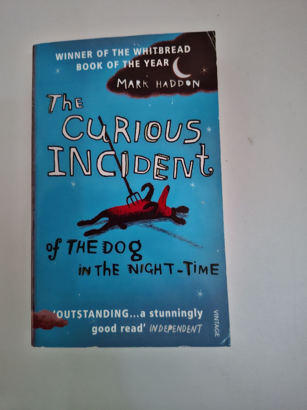 Libri: "The Curious Incident" Buch von Mark Haddon – Usato da St. Ursen venduto da ann_jsw9