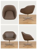 Walter Knoll Turtle Lounge Chair - Leder, Drehsessel