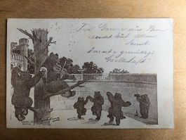 Antike Postkarte, Bärenkarte, Bärengraben, 1906