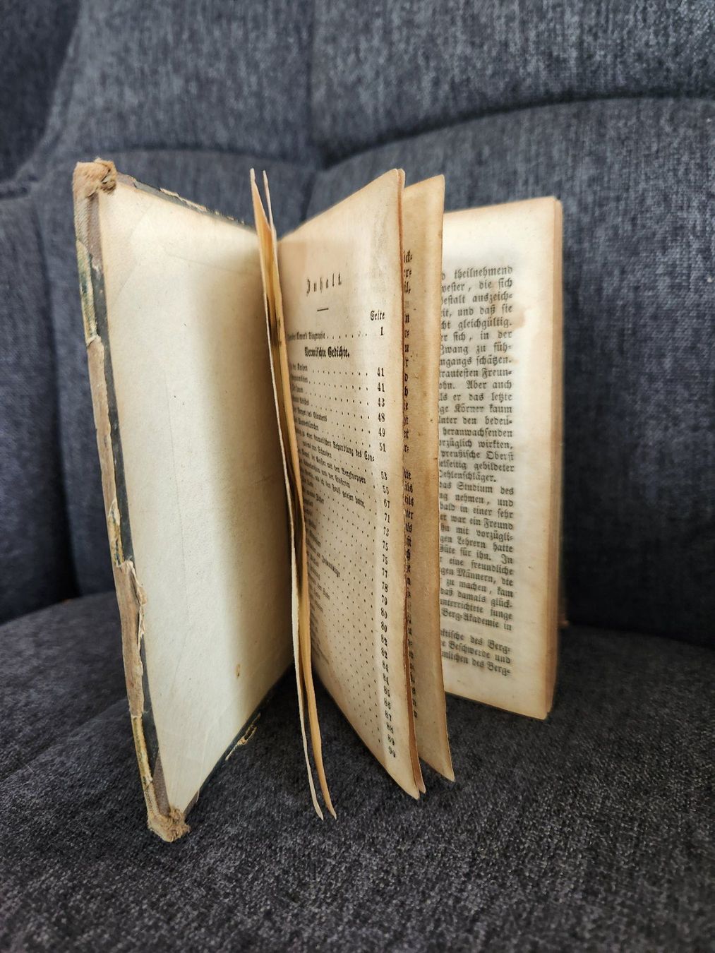 Libri: Kleineres, antikes Buch / 1848 – Usato da Fanas venduto da Rurero03 4