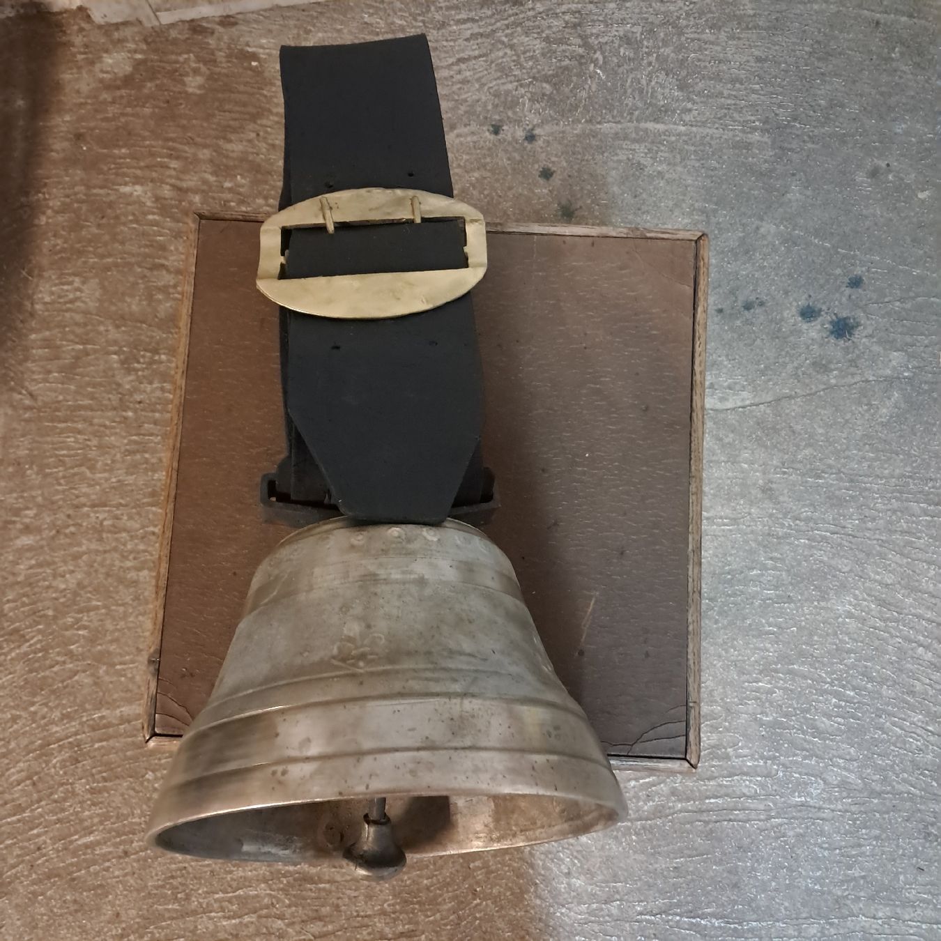 Cloches & sonnailles: Gute ALTE BIAGGI GLOCKE  – D'occasion à Murten par SHETHOF 7