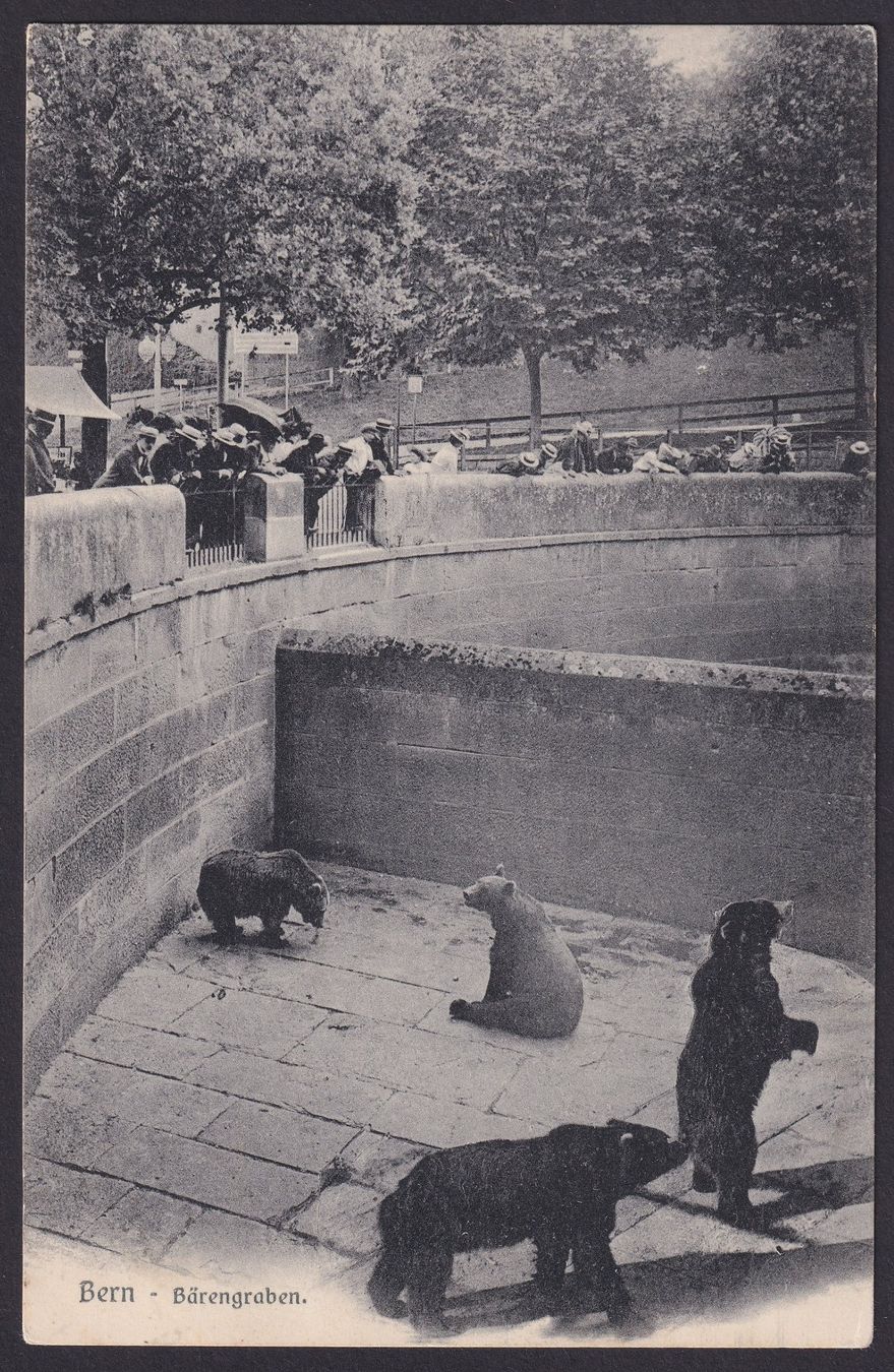 Cartoline postali: 1905, BERN Bärengraben Ansichtskarte – Usato da Ebikon venduto da SilvioFreund