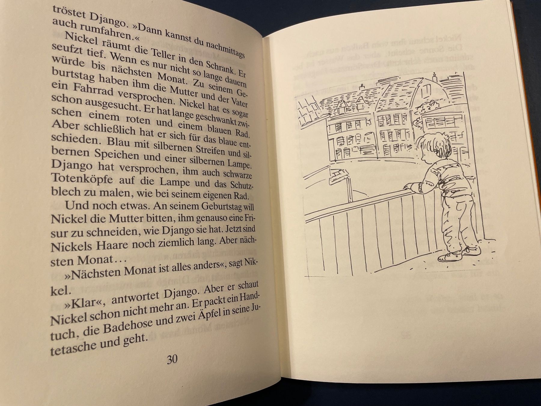 Livres: BUCH Nickel Vogelpfeifer von Mirjam Pressler – D'occasion à Winterthur par calbecht 2