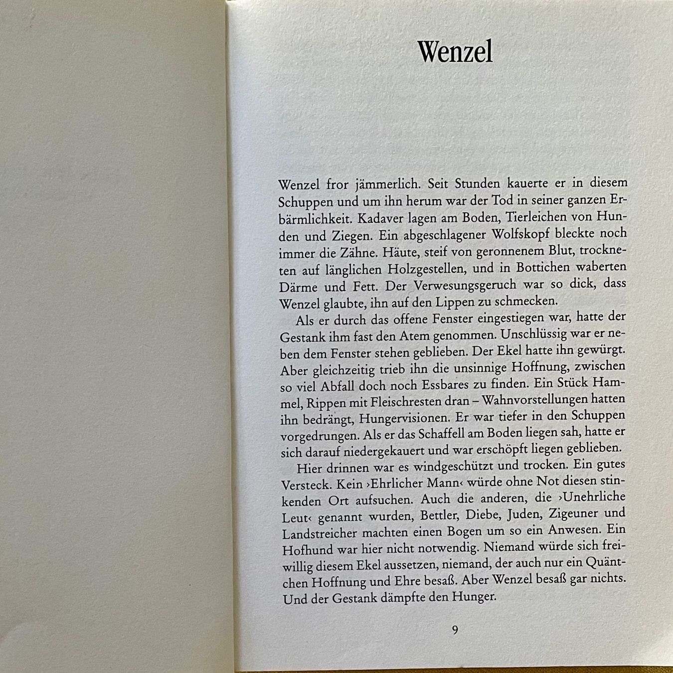 Libri: Wenzel oder Der Weg in die Freiheit - Jugendbuch ab 12 J. – Usato da Liestal venduto da Coutellerie 3