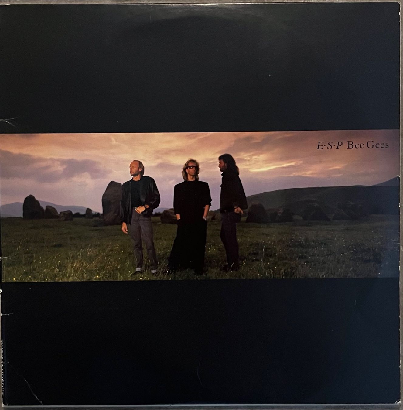Dischi in vinile: BEE GEES - E-S-P - 33 Tours – Usato da Bussigny venduto da vinyl-pas-cher