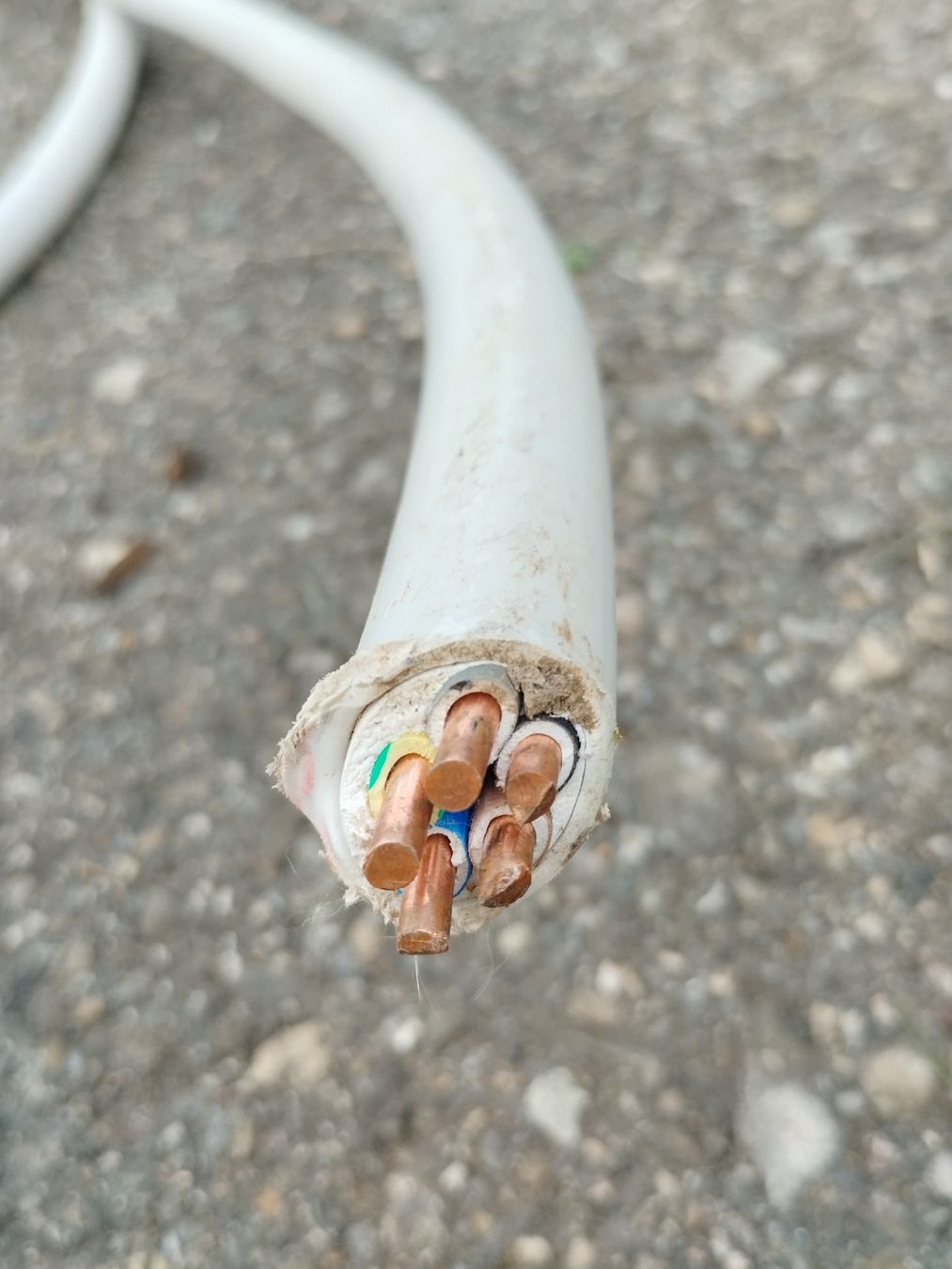 Cavi: 5x10mm2 Kabel – Usato da Fischenthal venduto da JURIGINAL 1