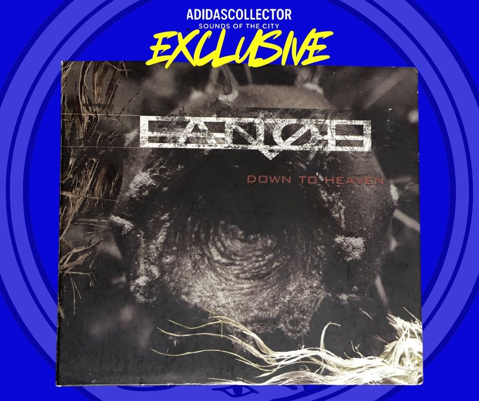 CD: Fanoe-Down To Heaven - Alternative - Top – Usato da Muri b. Bern venduto da AdidasCollector