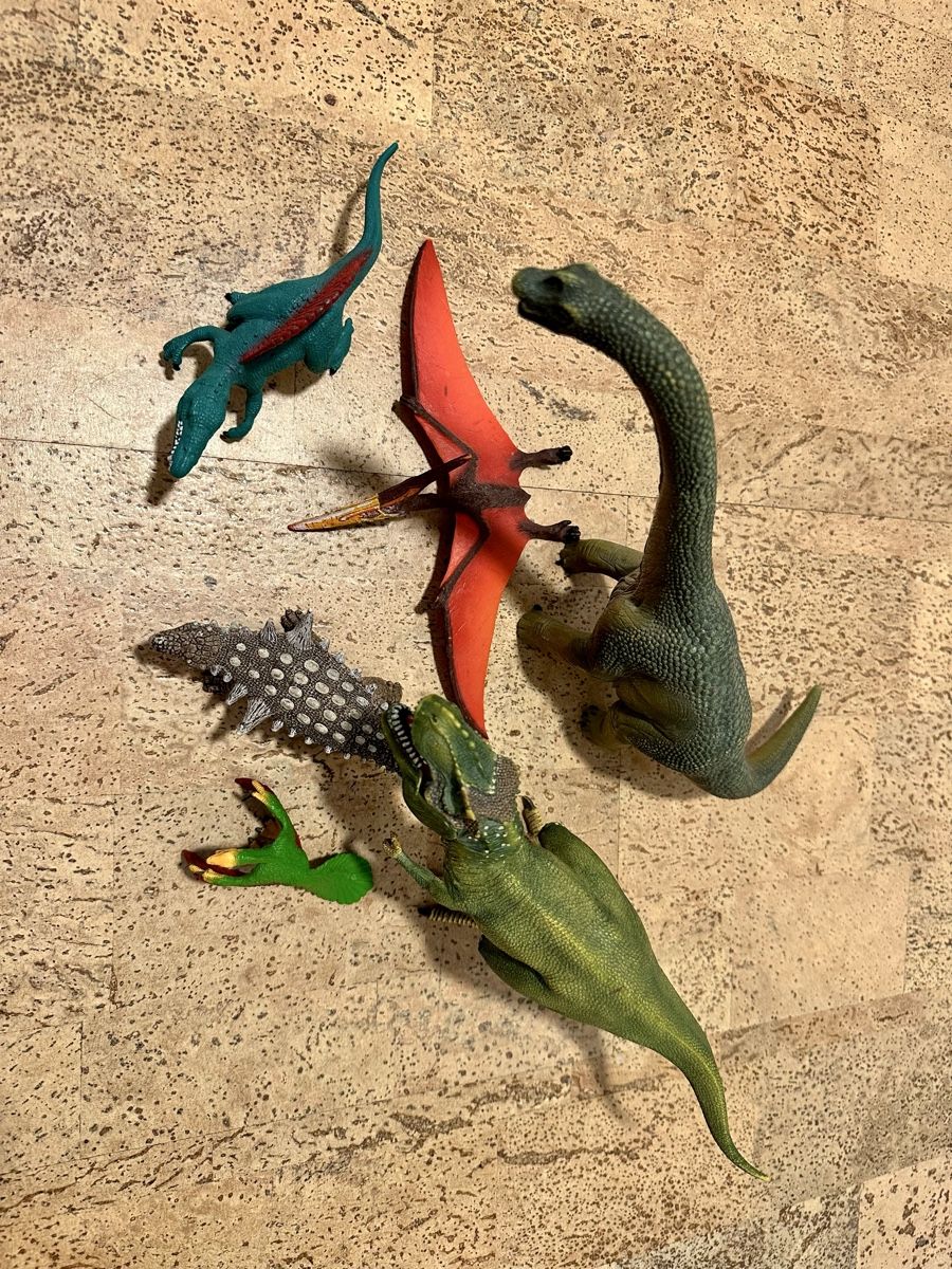 Schleich Giocattoli: Schleich Dino Set – Usato da Tann venduto da Cinturriante 2