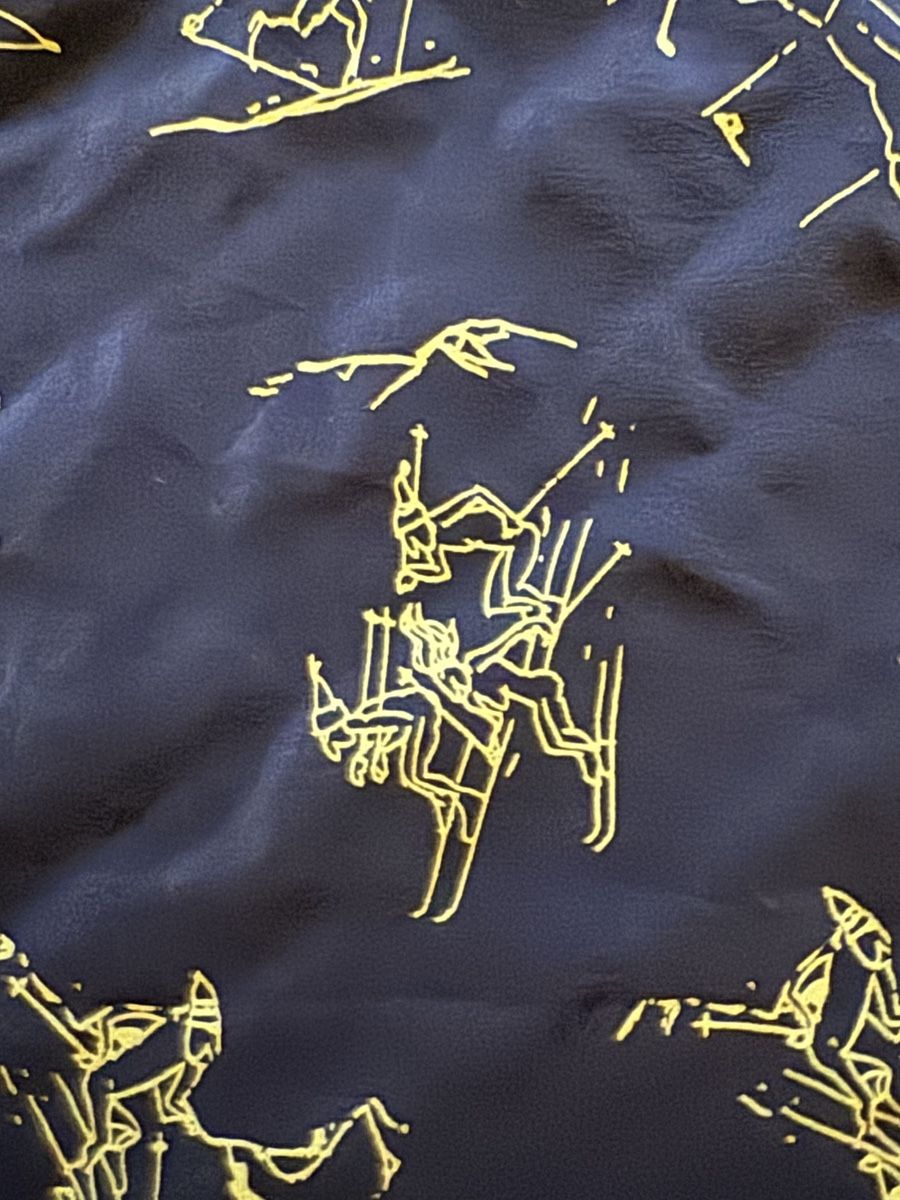Foulard & Sciarpe: Seidenschal, Skifahrer - Motiv – Nuovo (secondo la descrizione) da Zürich venduto da chr_lgh5 1