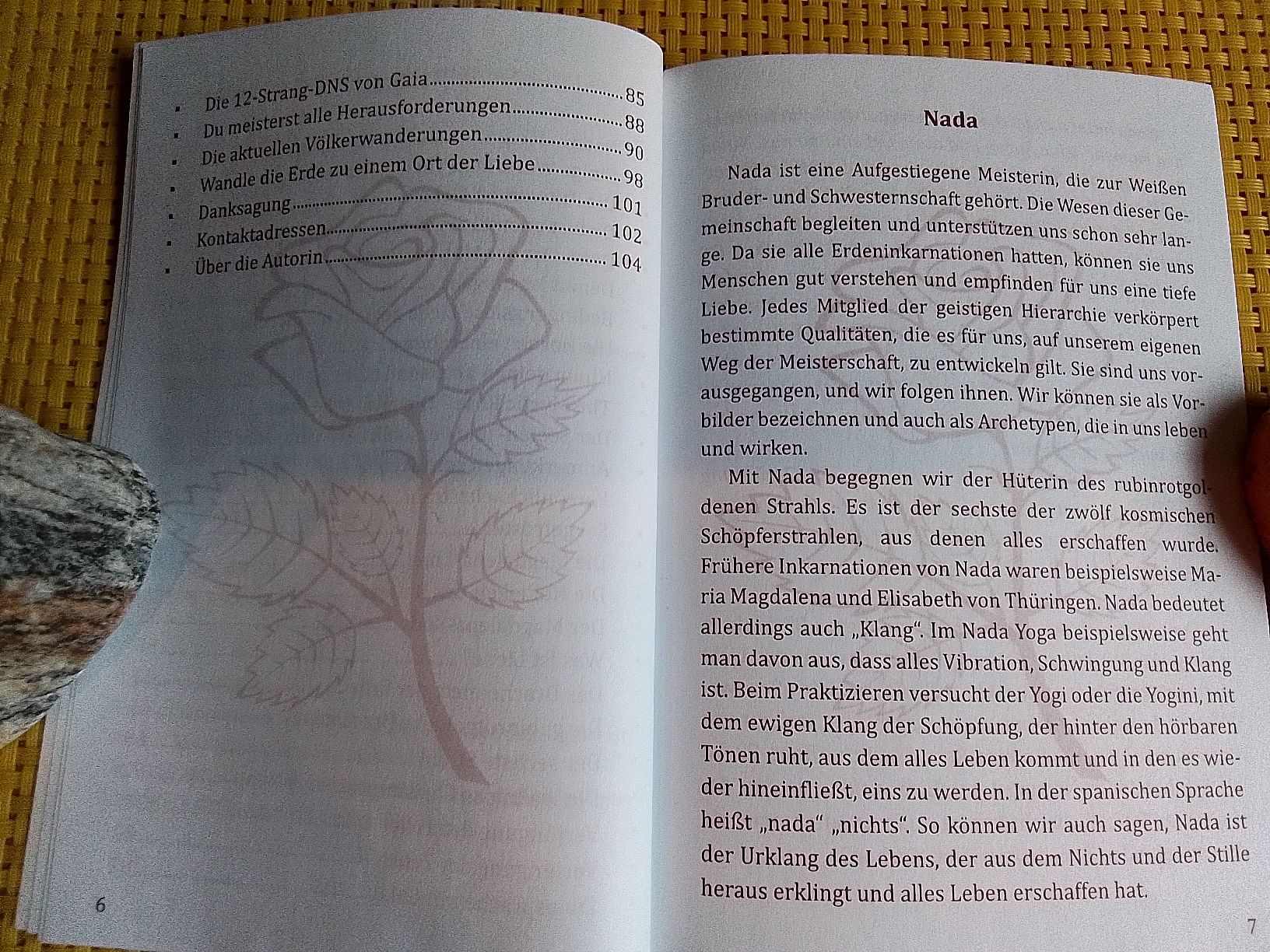 Bücher: Lady Nada - Die Antwort ist Liebe – Gebraucht aus Rebstein von Buchsi03 1