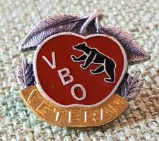 C836 - Revers Knopf BBV Bern Veteran CH