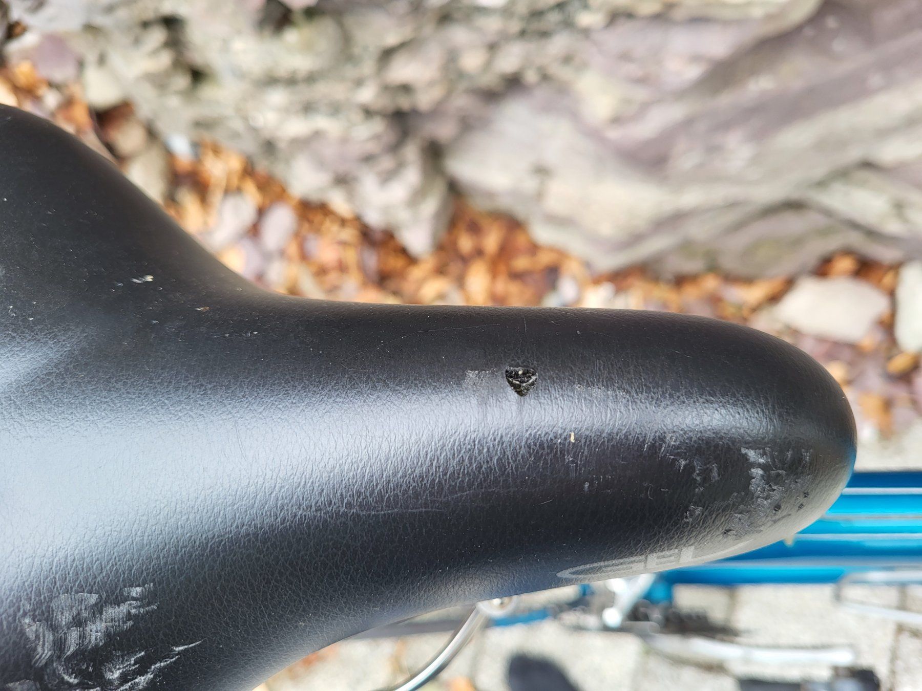 Biciclette: Herren Velo – Usato da Plons venduto da sanboll 1