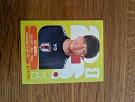 Panini Japan 9