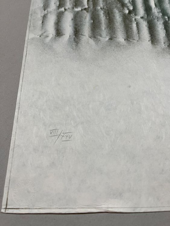 Grafica & Litografie: PETER PAUL LITHOGRAPHIE SIGNIERT NUMMERIERT – Usato da Gersau venduto da grafik-kunst 5